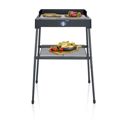 PG 8566 Standgrill
