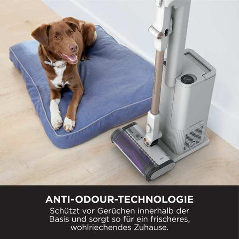 IW3612EXEU Akku Staubsauger